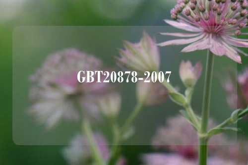 GBT20878-2007