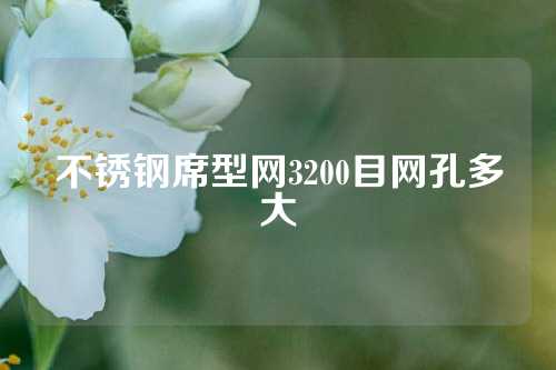 不锈钢席型网3200目网孔多大