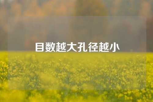 目数越大孔径越小