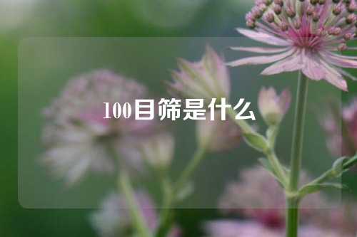 100目筛是什么