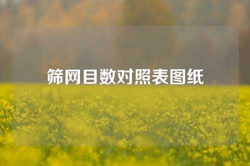 筛网目数对照表图纸