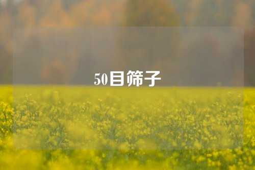 50目筛子