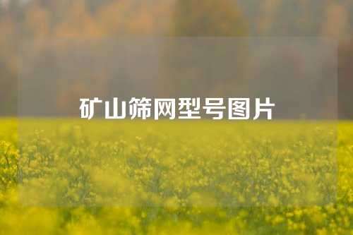 矿山筛网型号图片