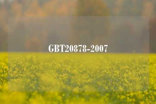 GBT20878-2007