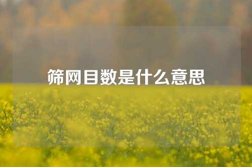 筛网目数是什么意思