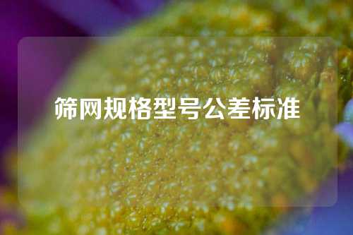 筛网规格型号公差标准