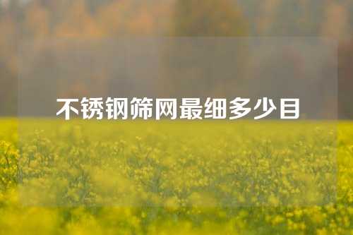 不锈钢筛网最细多少目