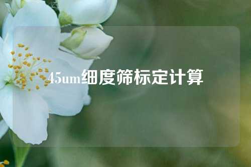 45um细度筛标定计算