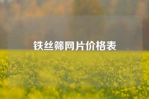 铁丝筛网片价格表