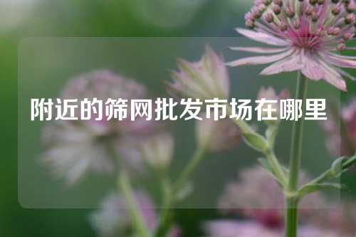 附近的筛网批发市场在哪里