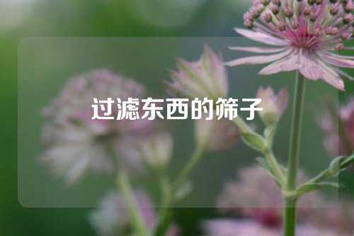 过滤东西的筛子