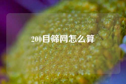 200目筛网怎么算