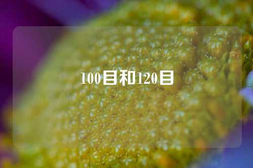 100目和120目