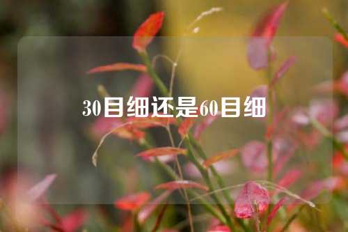 30目细还是60目细