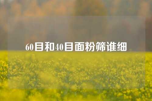 60目和40目面粉筛谁细