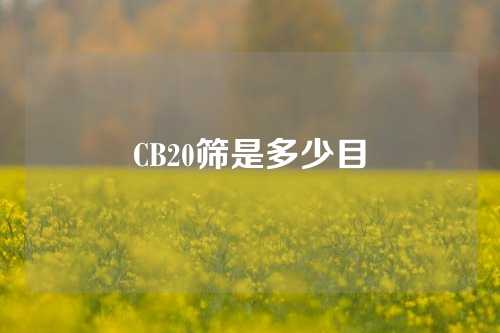 CB20筛是多少目