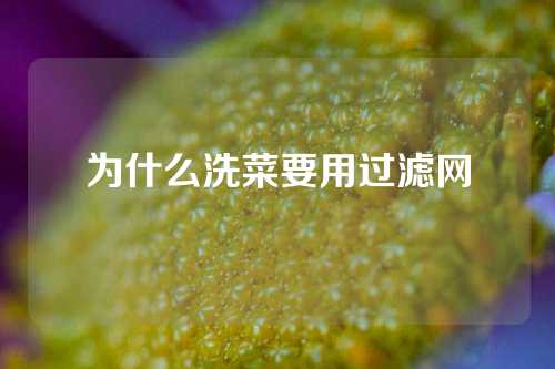 为什么洗菜要用过滤网