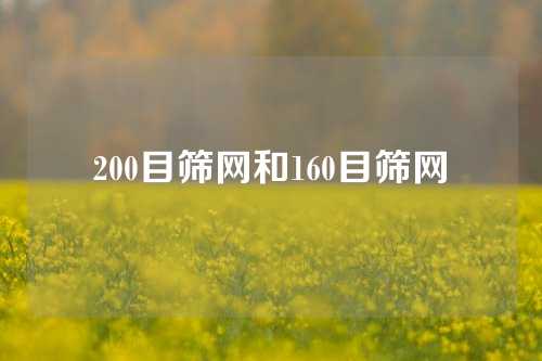 200目筛网和160目筛网