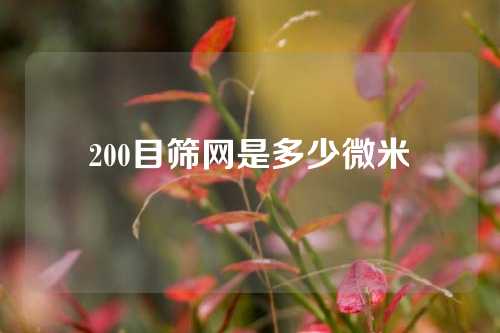 200目筛网是多少微米