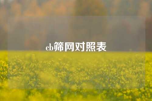 cb筛网对照表