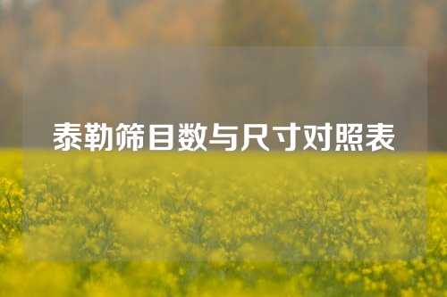 泰勒筛目数与尺寸对照表