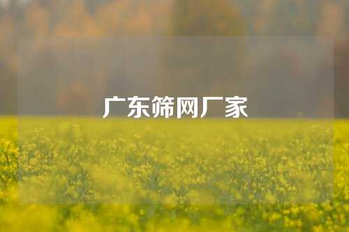 广东筛网厂家