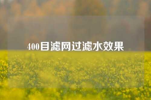 400目滤网过滤水效果