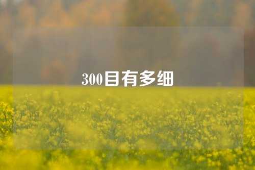 300目有多细