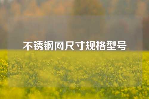 不锈钢网尺寸规格型号