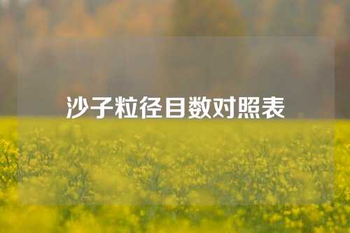 沙子粒径目数对照表