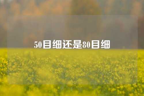 50目细还是80目细