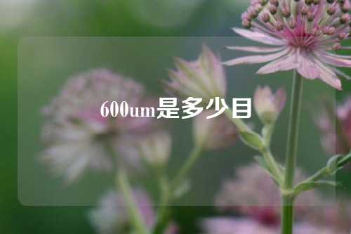 600um是多少目