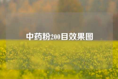 中药粉200目效果图