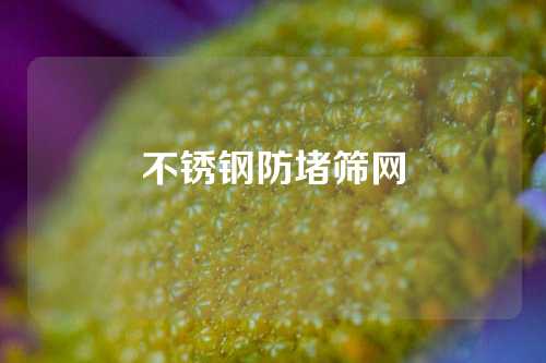 不锈钢防堵筛网