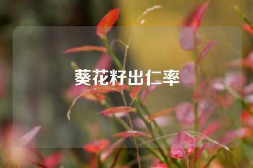 葵花籽出仁率