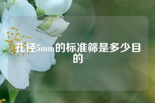 孔径5mm的标准筛是多少目的