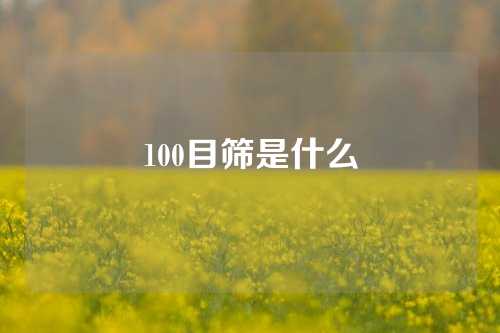 100目筛是什么