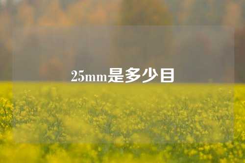 25mm是多少目