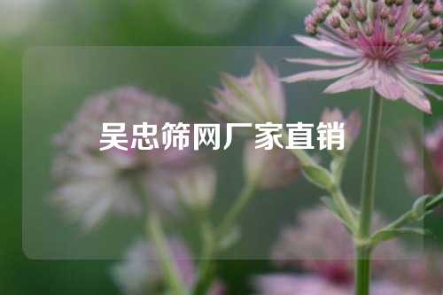 吴忠筛网厂家直销