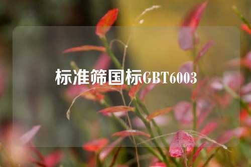 标准筛国标GBT6003