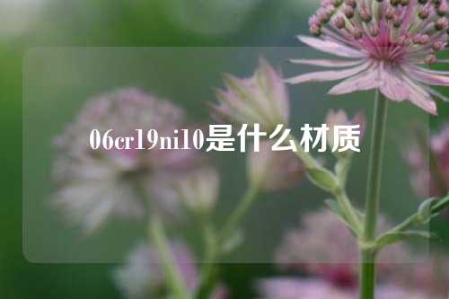 06cr19ni10是什么材质