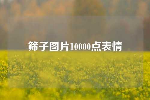 筛子图片10000点表情