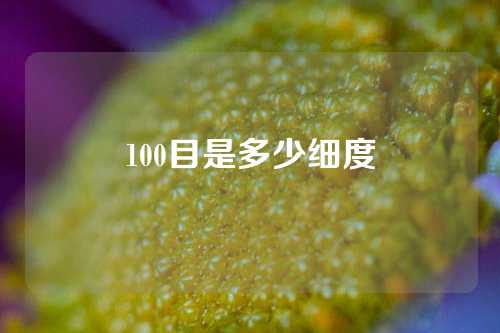 100目是多少细度