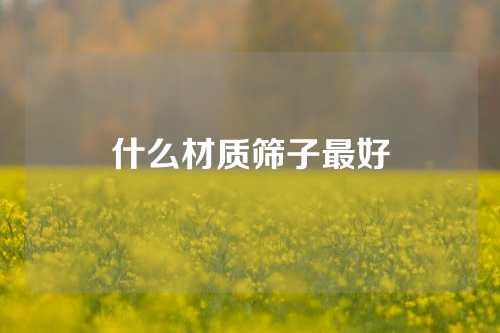 什么材质筛子最好