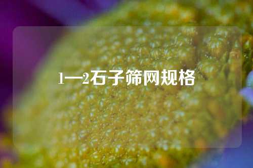 1—2石子筛网规格