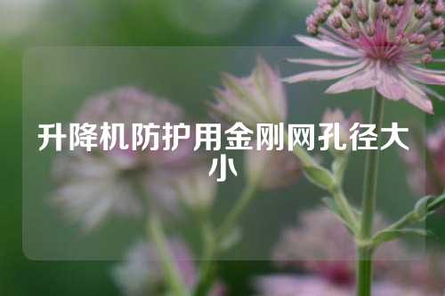 升降机防护用金刚网孔径大小