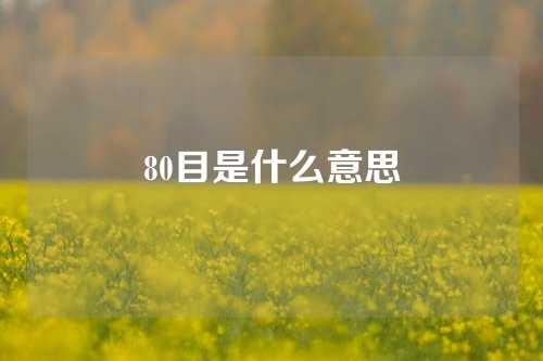 80目是什么意思