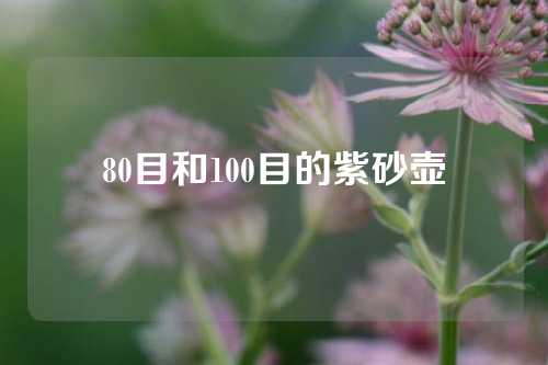 80目和100目的紫砂壶