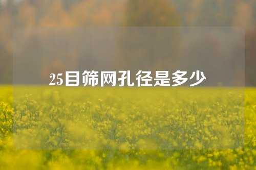 25目筛网孔径是多少