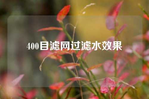 400目滤网过滤水效果